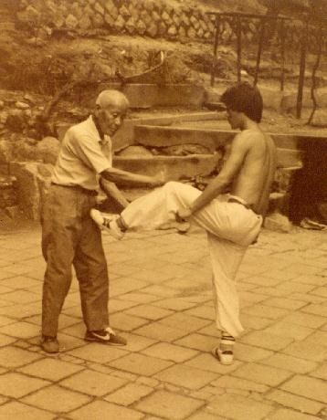 태껸 품밟기의 구조와 의미