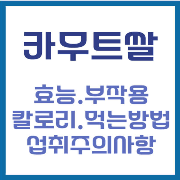 카무트 쌀 효능 썸네일
