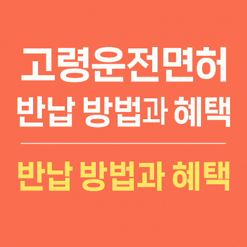 고령운전자 면허 반납 방법과 혜택 총정리 (2025 최신 기준)
