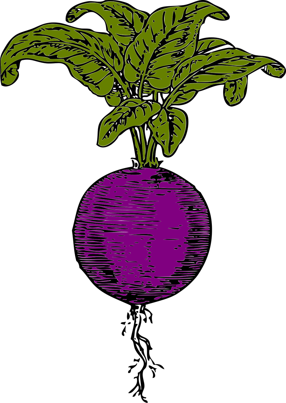 Beetroot2