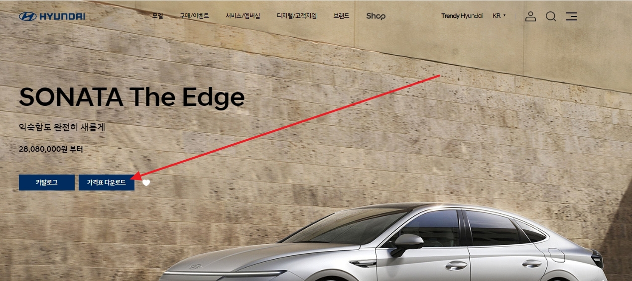 쏘나타 가격표 다운로드 버튼 위치