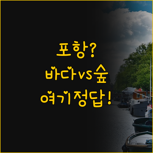 포항 브라운도트 테라스 vs 코모도 ..
