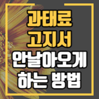 과태료 고지서 안날아오게 하는 방법을 안내합니다.