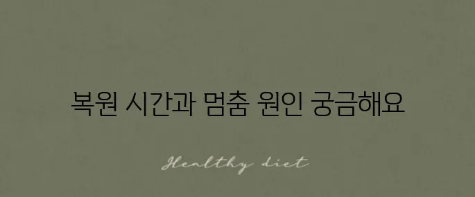 아이폰 아이클라우드 백업 복원 시간과 멈춤 현상에 대한 알아보기