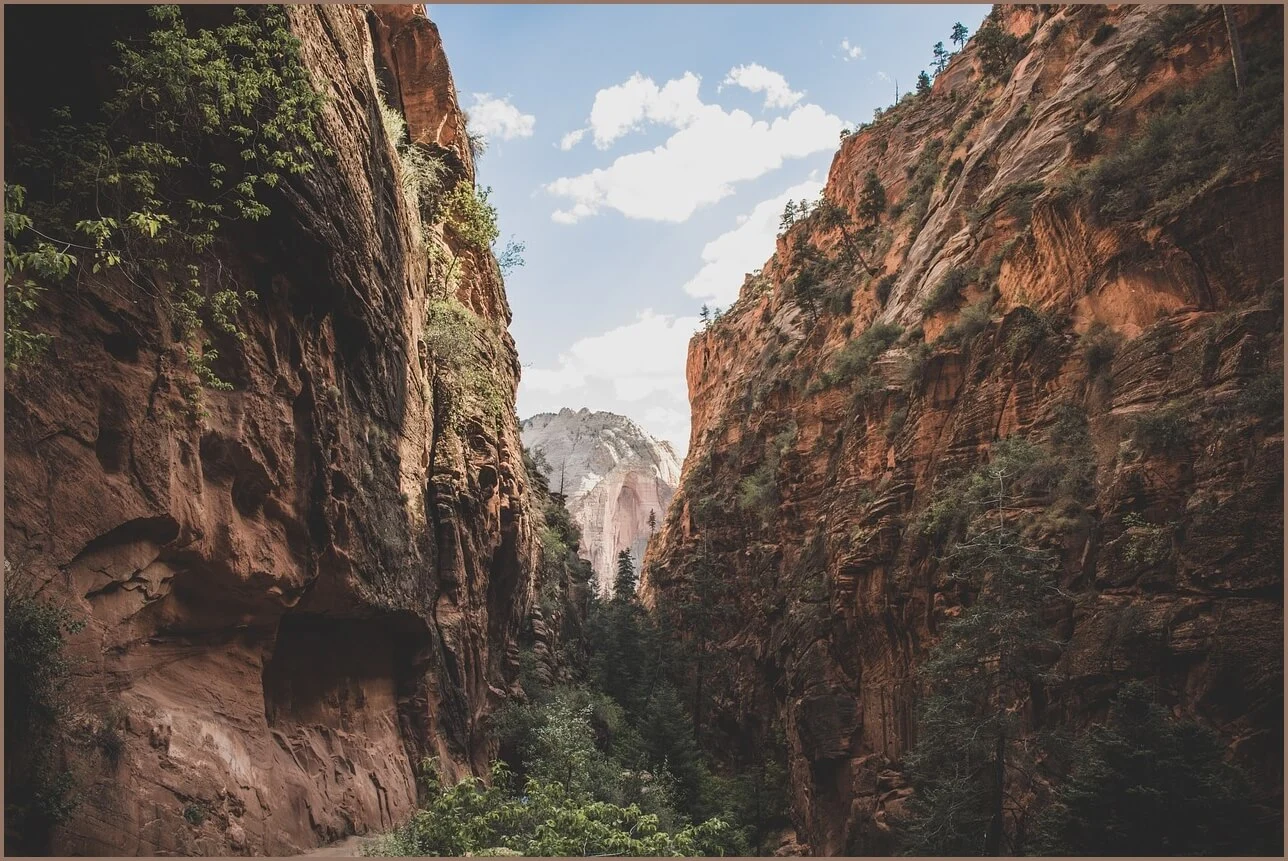 수협 정기예금 금리