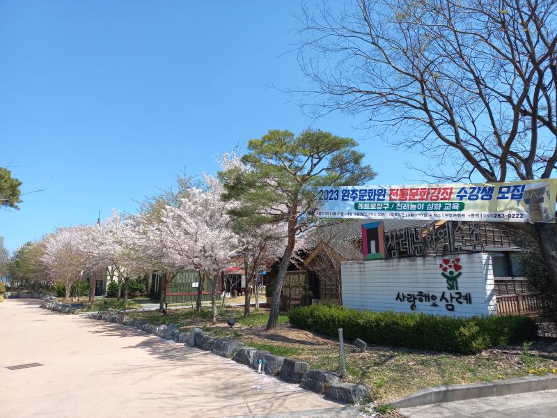삼례문화예술촌 입구 벚꽃