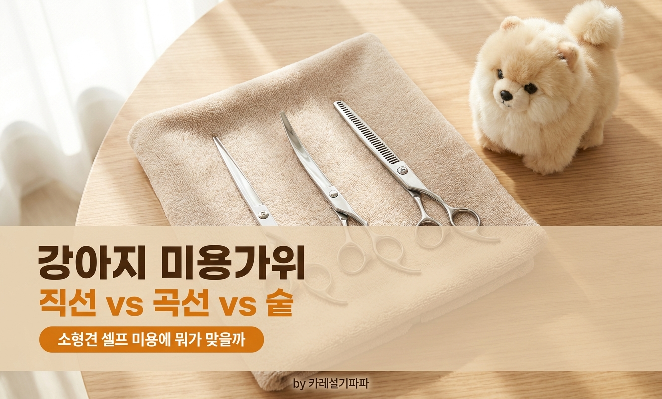 강아지 미용 가위 세트 테이블