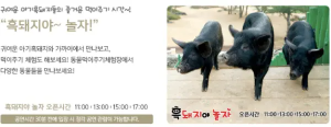 흑돼지-현장-체험