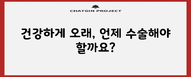 고양이 중성화 수술 시기 건강을 지키는 최고의 선택입니다!
