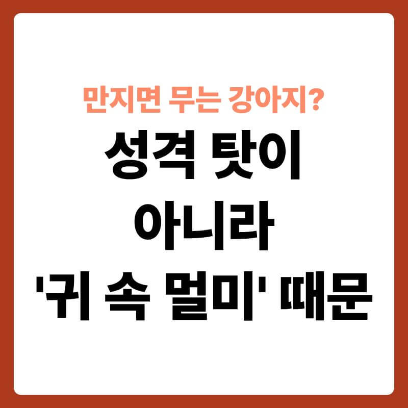 고개를 한쪽으로 쓸쓸하게 기울인 채 엎드려 있는 코커스패니얼 강아지의 모습. 강아지의 귀 내부 구조가 반투명한 그래픽으로 드러나 있으며, 달팽이관과 이소골 주변이 붉은색 염증 아이콘으로 강조되어 평형 감각의 붕괴와 통증을 시각적으로 형상화한 이미지