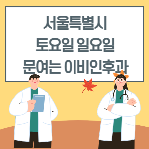 서울 토요일 일요일 이비인후과 진료 병원 리스트
