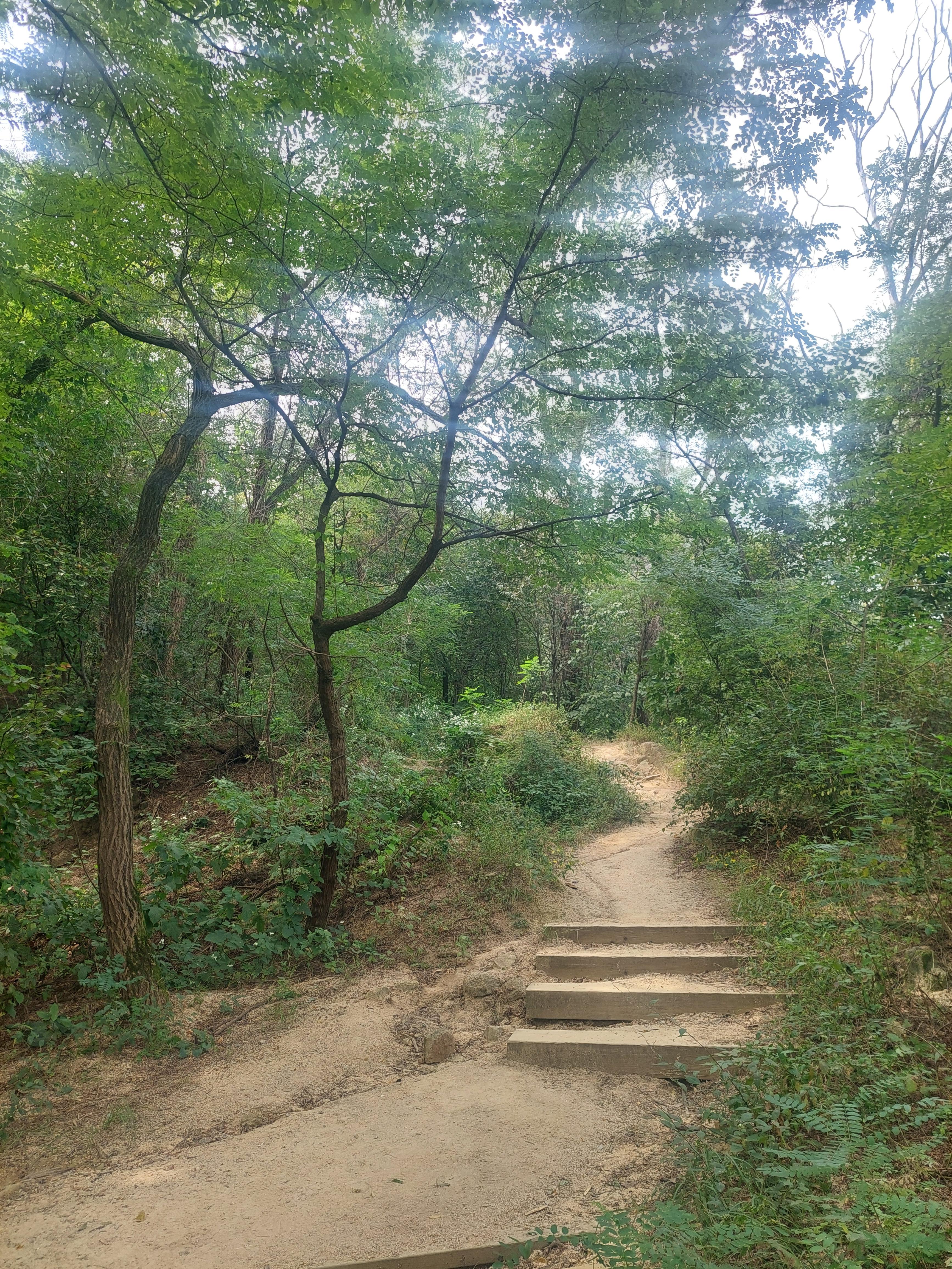 안산