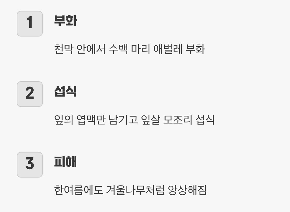 앙상한 가지만 남기는 무서운 식성