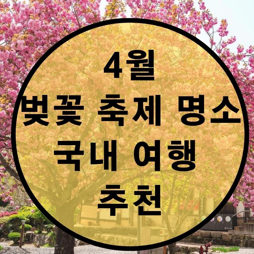 벚꽃축제