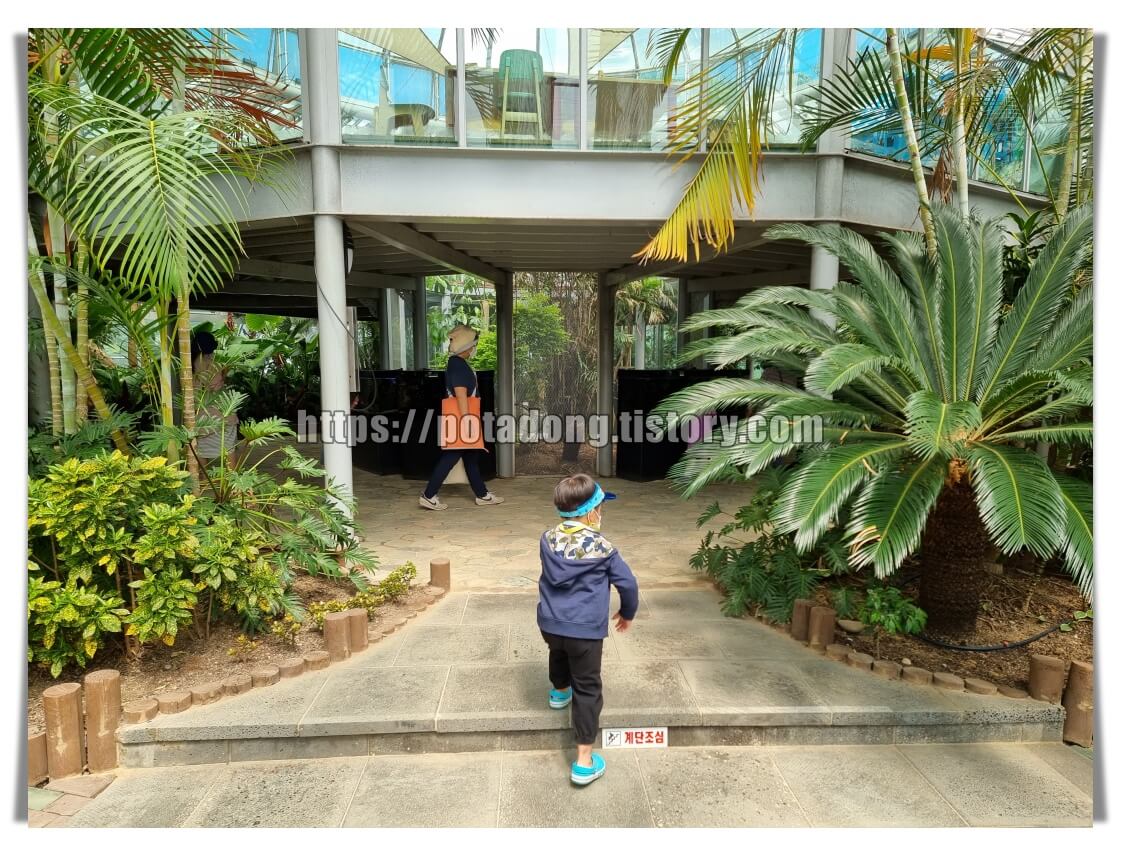 동천자연식물원