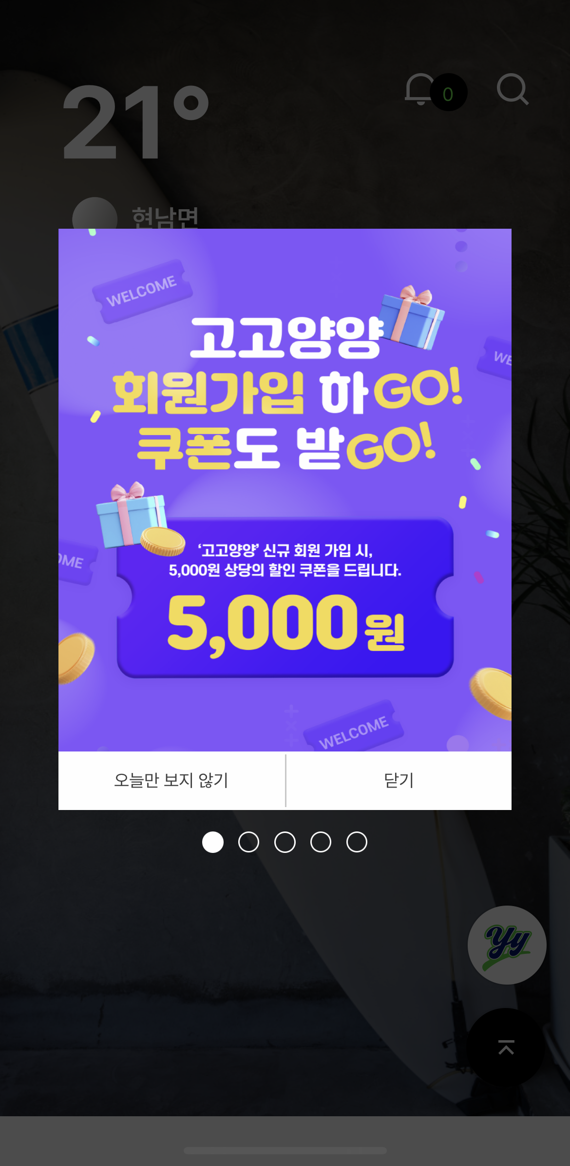 고고양양 회원가입 쿠폰
