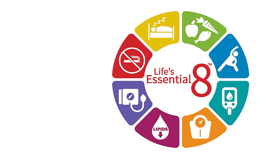 뇌출혈 life's essential 8