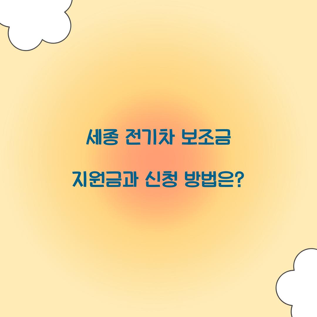 세종 전기차 보조금