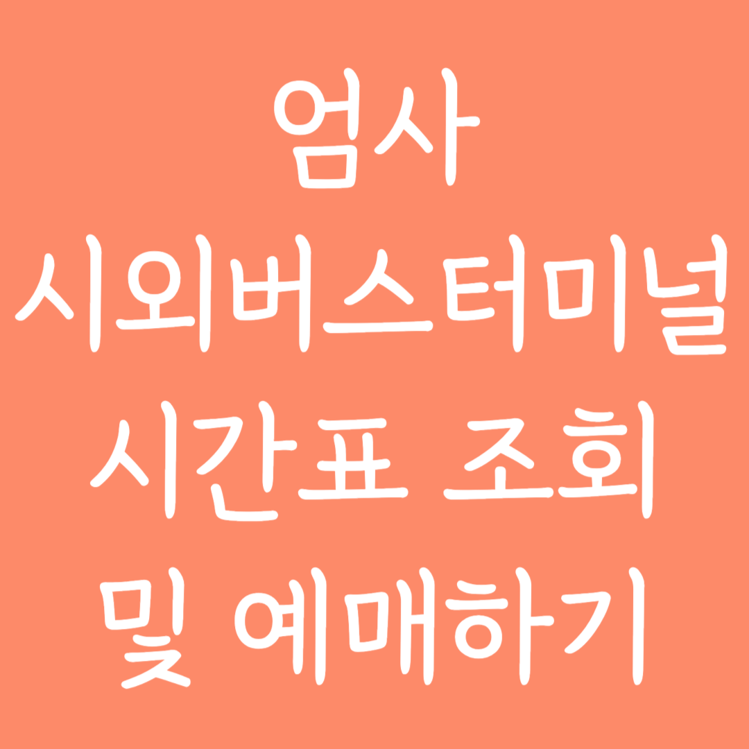 엄사 시외버스터미널 시간표조회 및 예매하기