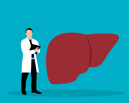 콜레스테롤 낮추는 음식 담즙산 배출