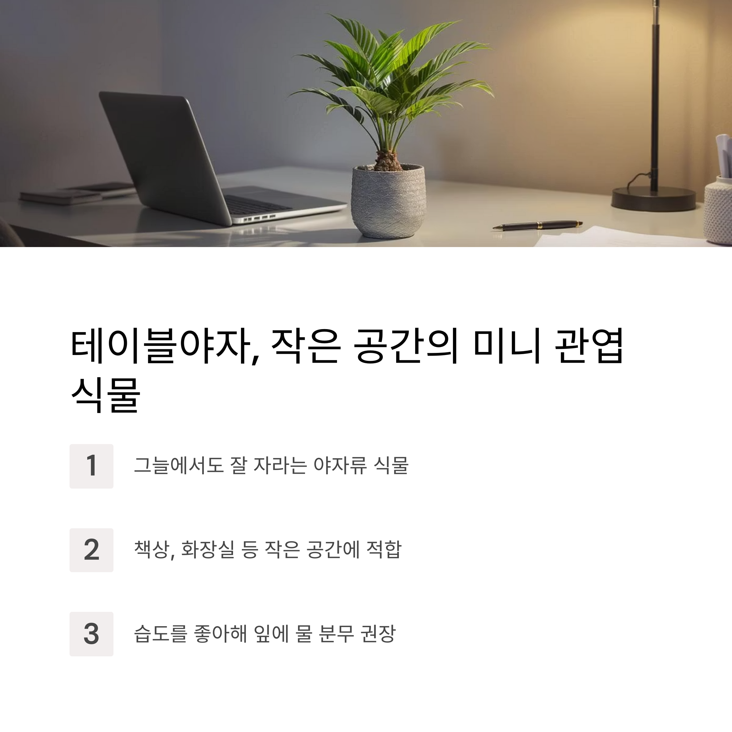 테이블야자