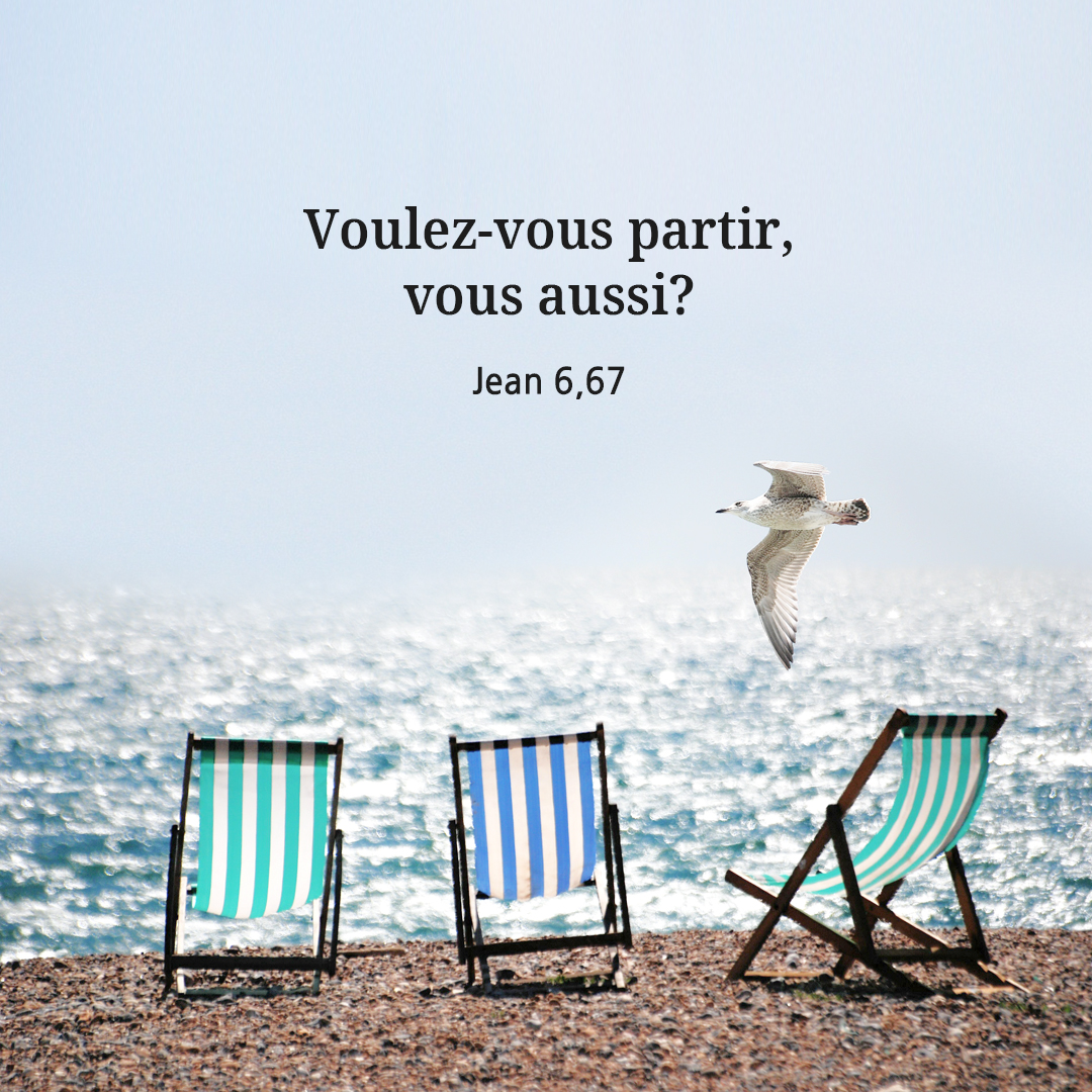Voulez-vous partir, vous aussi? (Jean 6,67)