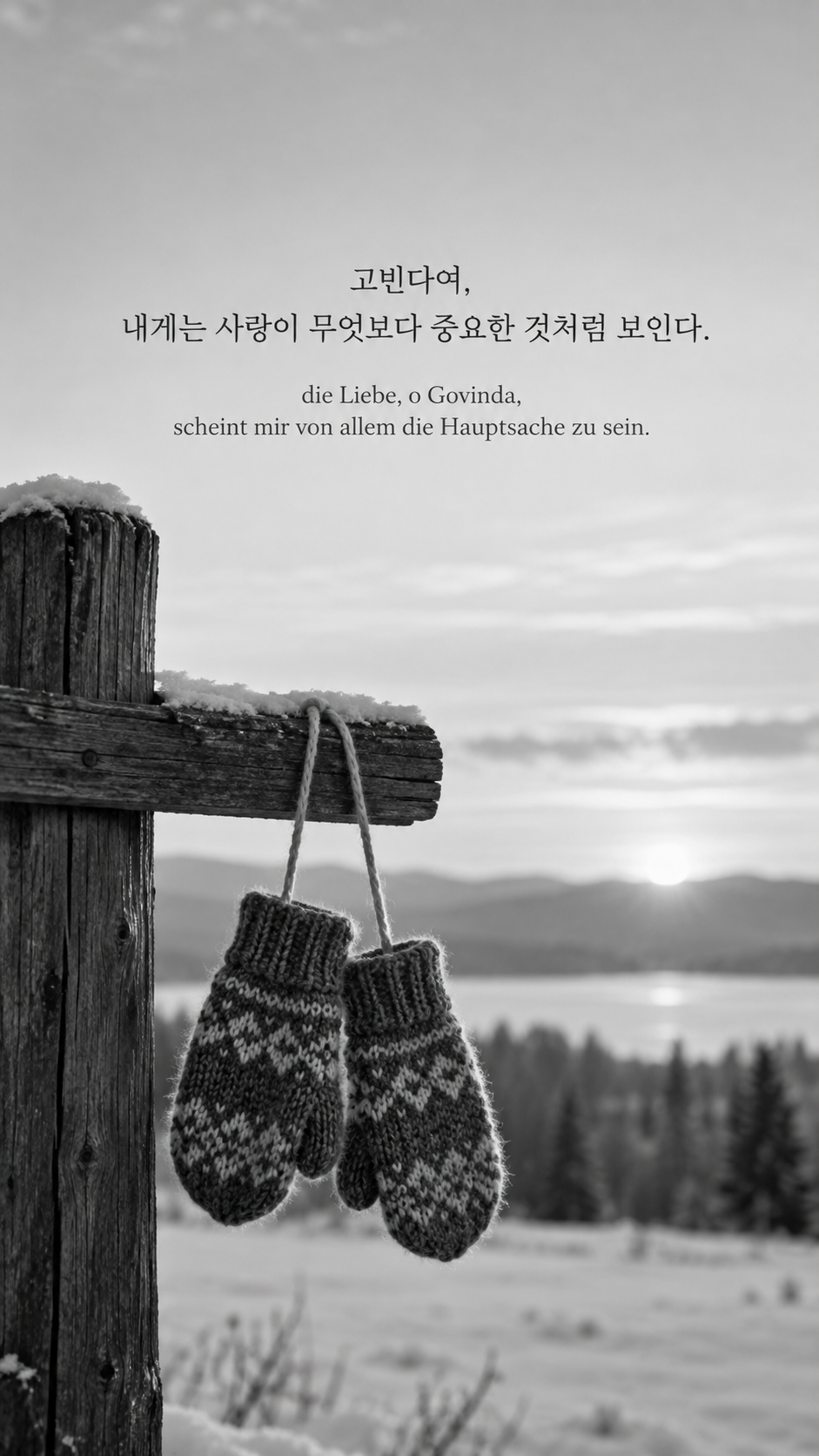 독일어 명언 20 헤르만 헤세 고빈다여, 내게는 사랑이 무엇보다 중요한 것처럼 보인다. — 하나의 끈으로 이어진 털장갑