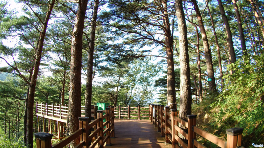 계룡 가볼만한곳 베스트10