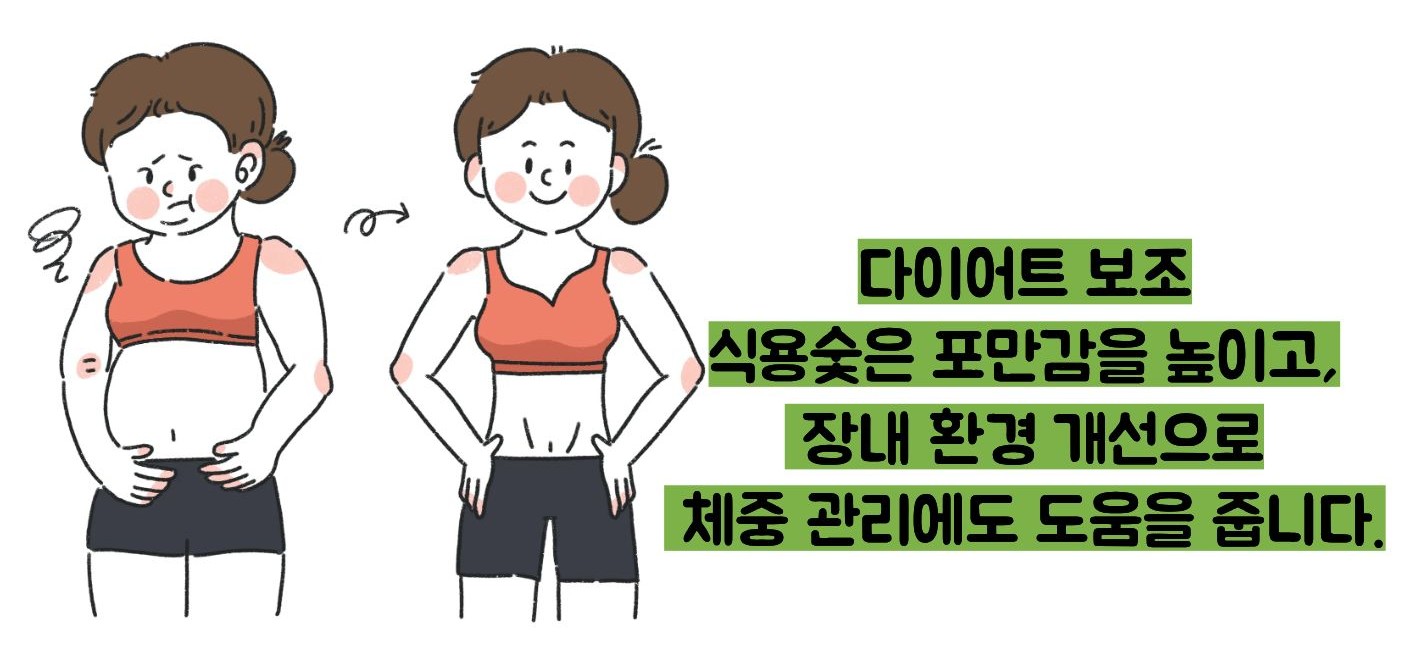 식용숯 효능
