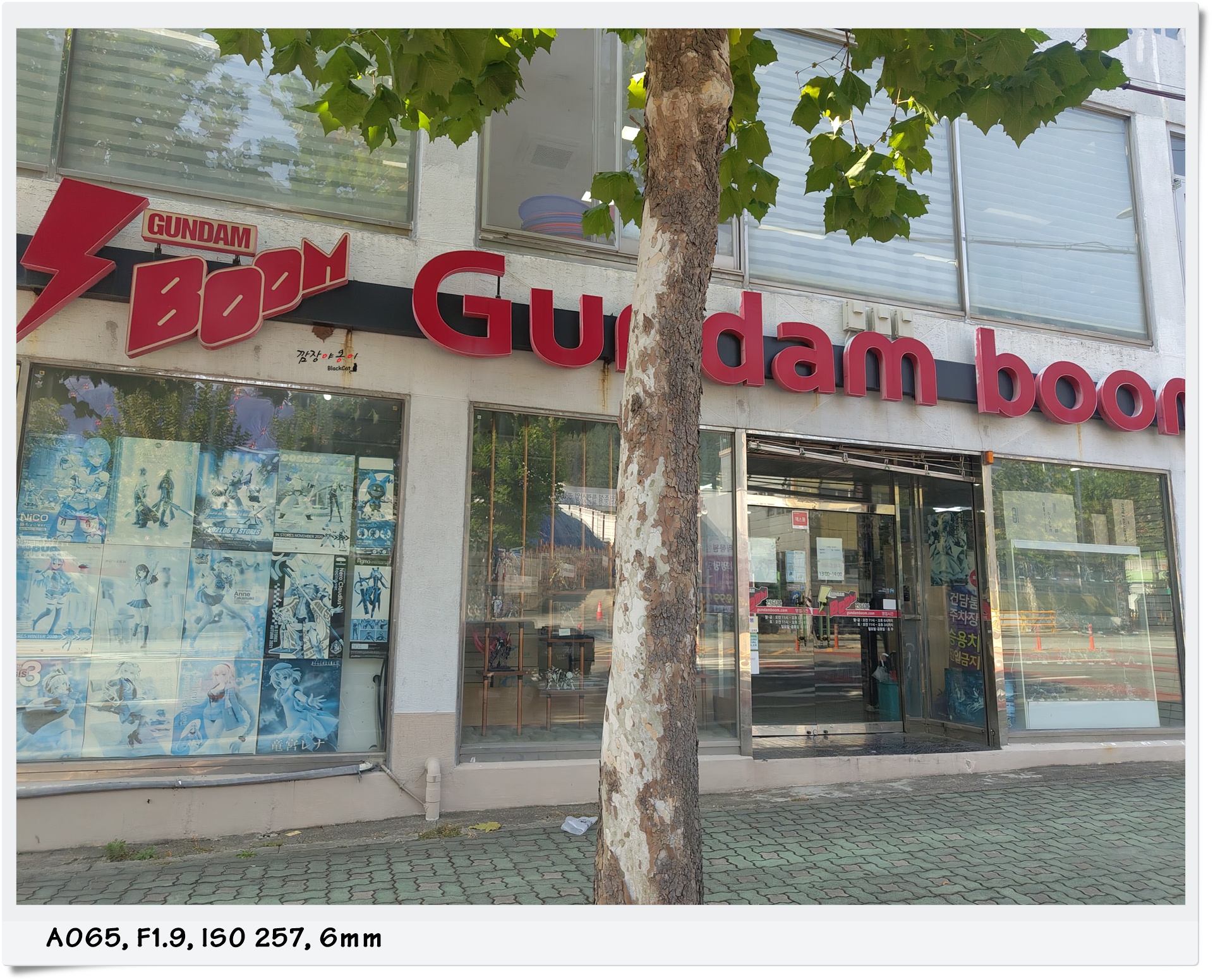 어른들을 위한 놀이터, 신라대 앞 프라모델 판매점 '건담붐'