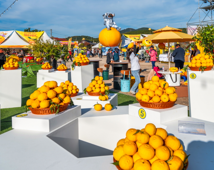 고흥유자축제 일정 프로그램 주변 맛집 숙소 교통 주차 정보