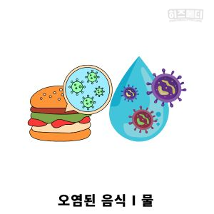 로타 바이러스 장염 증상 진단