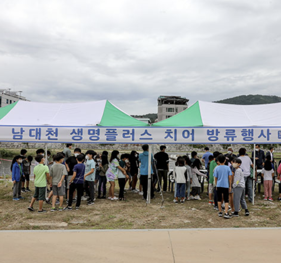 무주 반딧불축제