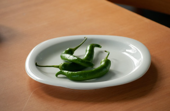 고추모종 심는 시기 놓치면 2