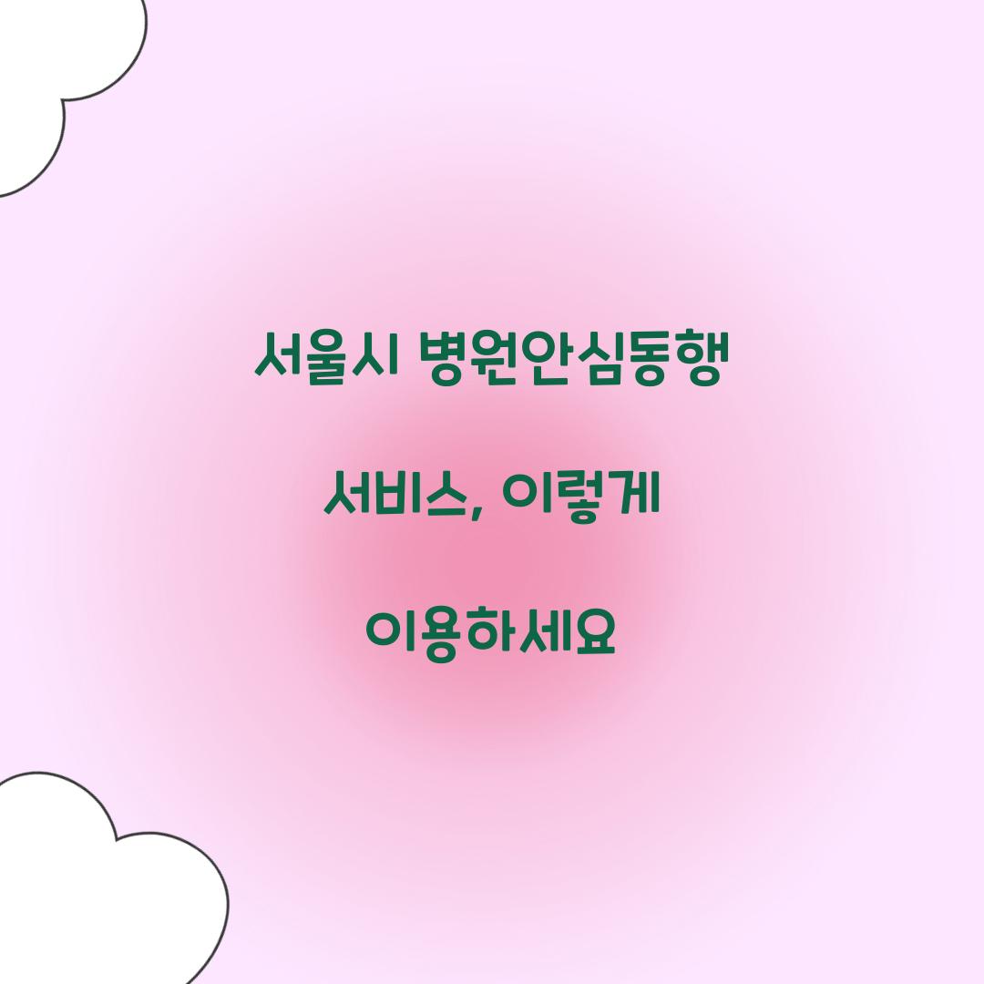서울시 병원안심동행 서비스