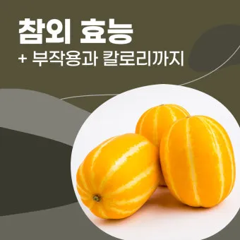 참외 효능 및 영양 정보 섭취 효과 정리_20