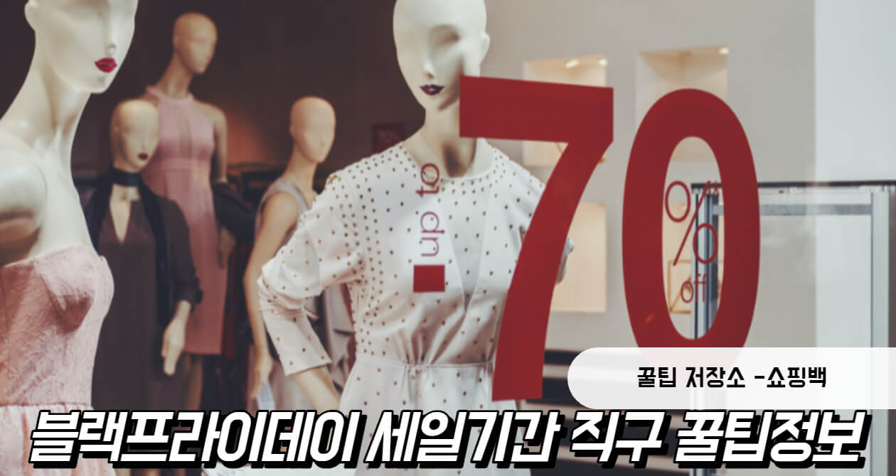 블랙프라이데이 세일기간 직구 꿀팁정보 블랙프라이데이 세일기간 직구 꿀팁정보