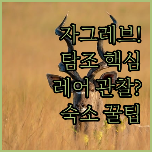 자그레브 마크시미르 공원 호수 탐조 ..