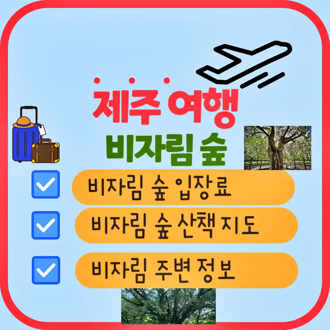 제주 여행 비자림 숲 제주에 대한 정리 썸네일 입니다.