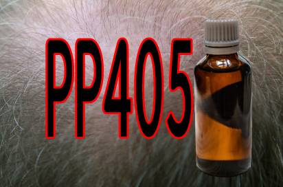 PP405