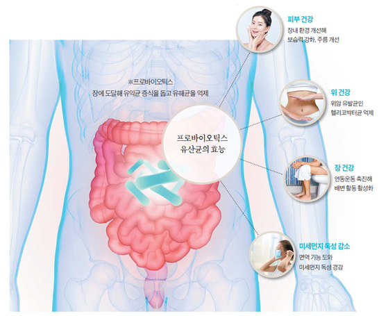 노인 변비, 노인 변비 원인, 고령자 변비 해결, 노인 장 건강, 노인 배변 문제, 노인 변비 영양제, 노인 유산균, 노인 마그네슘, 노인 식이섬유, 노인 장 기능 저하, 노화와 장 건강, 노인 배변 습관, 노인 변비 식단, 노인 수분 섭취, 노인 장 운동, 고령자 장내 환경, 노인 변비 관리, 노인 걷기 운동, 노인 복부 마사지, 노인 건강 정보, 노인 변비 예방, 노인 소화 문제, 노인 장 관리, 노인 생활습관, 고령자 건강