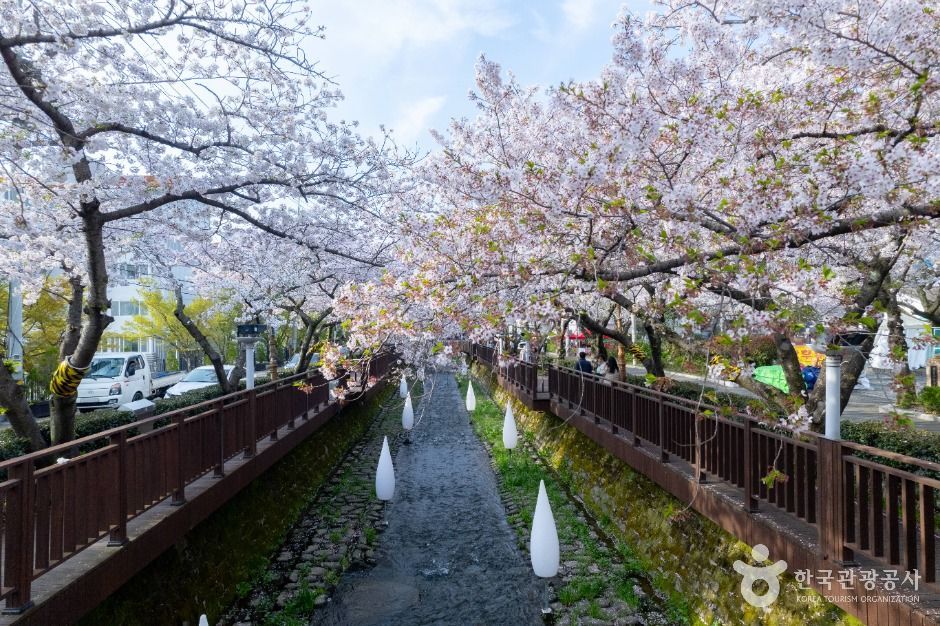 진해군항제 일정 주차 셔틀버스 불꽃쇼 벚꽃 명소
