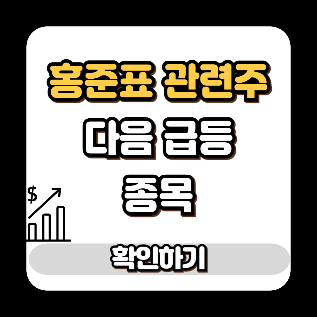 홍준표 관련주 다음 급등 종목