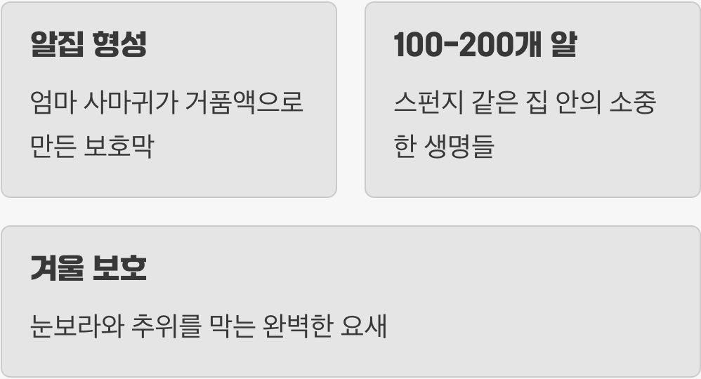 1. 겨울을 이겨내는 생명의 요람, 알집
