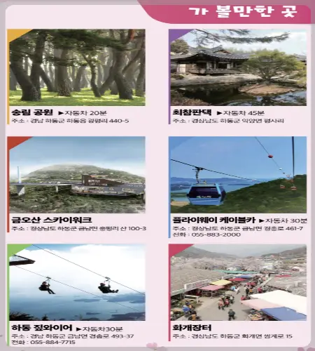 하동 북천 코스모스 메밀꽃 축제_23