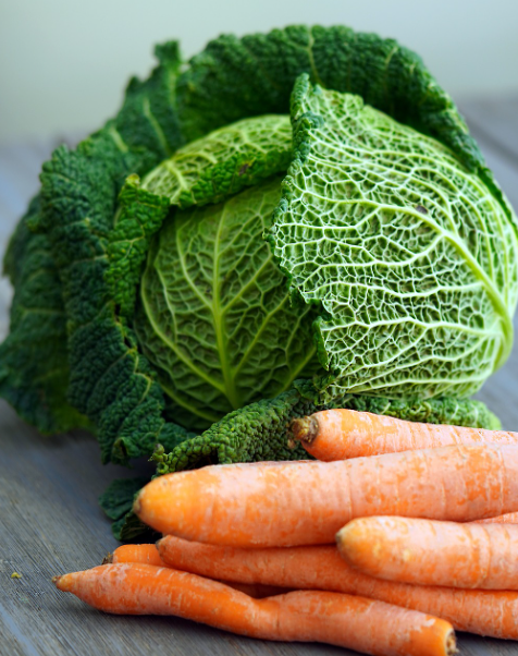 헬스케어·바이오 산업의 혁신: 웰니스, 유전자 치료, 원격의료