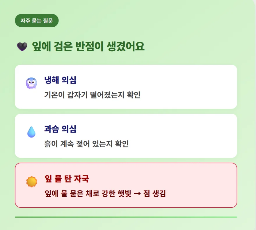 "바질 잎에 검은 반점이 생기는 이유인 냉해, 과습, 잎 물 타 자국 등 자주 묻는 질문 답변"