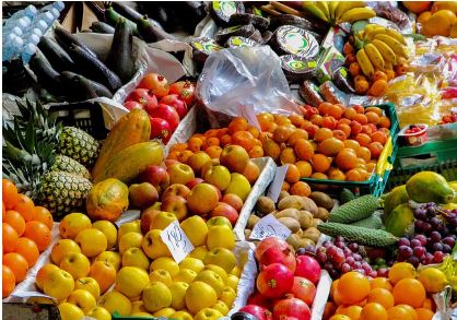 여러 과일 사진