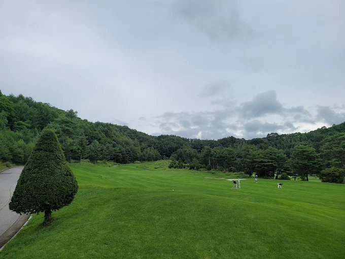 강원도 휘닉스파크 CC 골프장 소개 및 예약방법