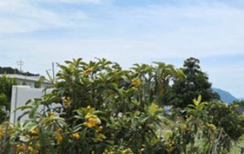 완도_생일도_가는길_당목항_배시간_여행코스